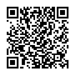 事实上就是他自己在这个年龄时也是一个不善交际的娃儿二维码生成