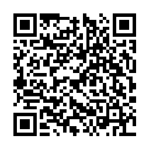 二则自然是因为没有太强的敌人需要他动用这帝宝二维码生成