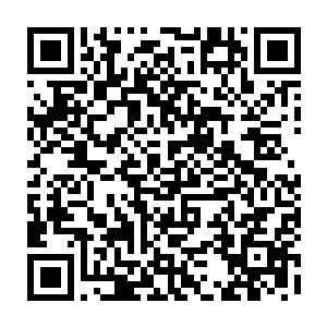 二十余名商铺掌柜在为首的负责东城区的商会副会长乌寒山带领下一起前来行礼二维码生成