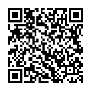 二十岁就掌握学会了家族内所有的医经丹经内记载的所有知识二维码生成