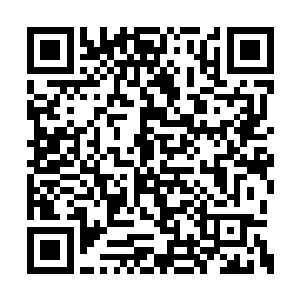 二姑姑御风燕早就占据着一块非常重要的位置了二维码生成