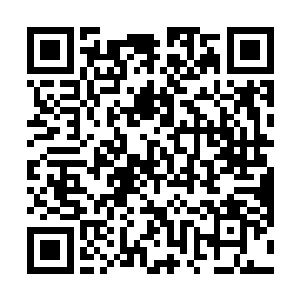 二姨娘望着那抹纤细的背影一点点的消失在她的视线中二维码生成