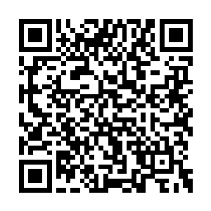 二战后迅速发展为新兴的边境商业娱乐旅游城市二维码生成