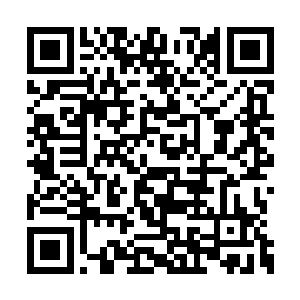 二来他这个值守长老还要负担起神器丢失的黑锅二维码生成