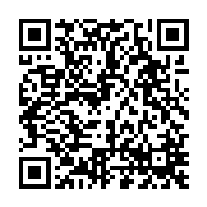 二爷的所有兄弟姐妹当中其他人连见老爷的面都见不到二维码生成