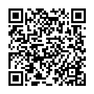 于岚星演绎的张少就已经提着一保温杯的热汤来到公司二维码生成
