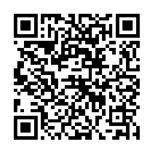 于是刚刚还被唐劫吓得乱窜的修者转眼间重新腾空飞起二维码生成