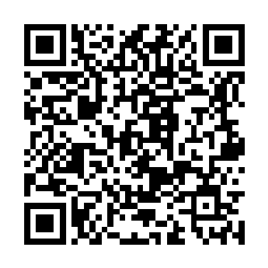 于是又硬生生的把这股想要喊叫的冲动给压下去了二维码生成