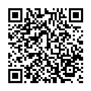 于是在那个偶尔会扭过头来打量她的男修目光下十分淡定二维码生成