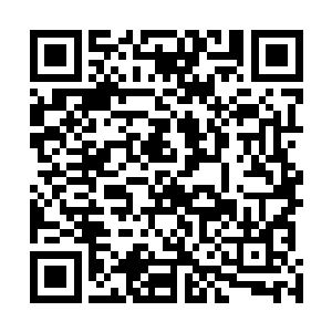 于是开始有人猜测付子欣婆婆和这场碰瓷之间的神秘关系二维码生成