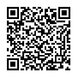 于是林锐快速从潜伏位置摸到了简易公路旁的草丛里二维码生成