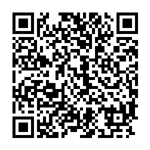 于此同时在符咒世界接受训练的那十九名青龙处成员训练全部结束二维码生成