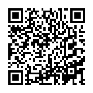 于此同时地面上的白虎赵冰倩和玄武诛妖剑也发起攻击二维码生成
