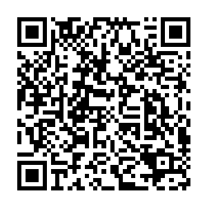 云二发现这道大门赫然是铁条编织出来然后用巨大的铆钉铆接在一起二维码生成