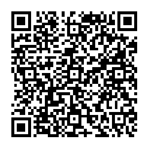 云家留在大牢里照顾五沟的仆役将五沟便溺下来的虫子洗干净之后拿给云峥看的时候二维码生成