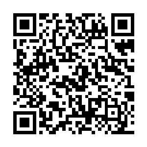 云氏的骇客将凌蘭六人伪造的那些身份资料传递给了罗程文二维码生成