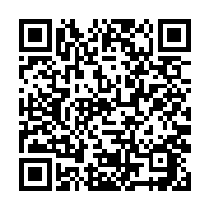 五万年前日出之洲的南部出现显化成灵的龙灵扩脉液二维码生成