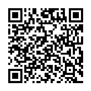 五个仙器师各自扛着一个九品后期巅峰的桥板走到了一起二维码生成