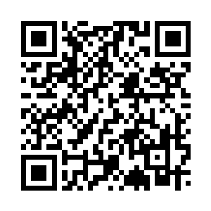 五仁师兄看着这些赤火金和灵火银二维码生成