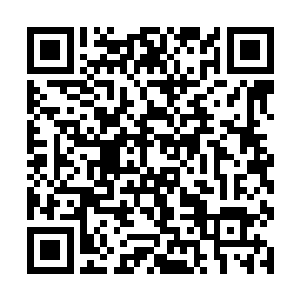 五城兵马司和京畿卫的指挥使派了几千人在崖底下搜二维码生成