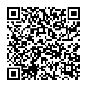五城兵马司等负责京城防务的衙门被盛怒中的帝王彻底清洗了一番二维码生成