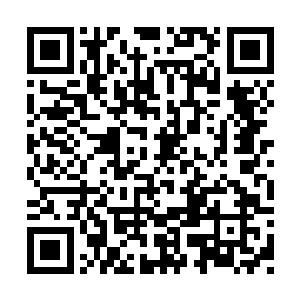 五尺的范围内能够依照她的神识指挥而随意行进二维码生成