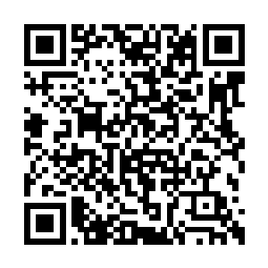 五律上尊的好几个上尊级别的门徒也都飞了过来二维码生成