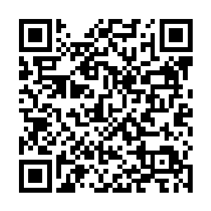 五月的威尼斯沙滩已经可以看见大量前来冲浪的年轻人二维码生成