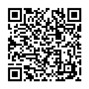 五殿下能把堂堂左丞相家的嫡女娶回去只做侧妃吗二维码生成