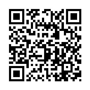 五羊追缉小队全部转移到白云机场附近二维码生成