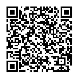 五长老早已将之前对韩风到来这件事情的不乐意丢到了瓜哇国去了二维码生成