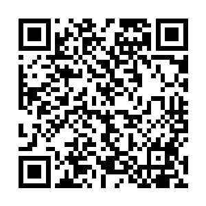 亚当斯家族和费尔南德斯家族已经游走在了破产的边缘二维码生成