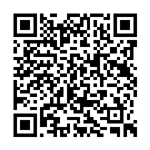 亚特兰蒂斯战队的替补队员都露出了会心的笑容二维码生成