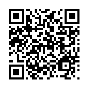 享受夏日里依偎着舒心人的轻松心情二维码生成
