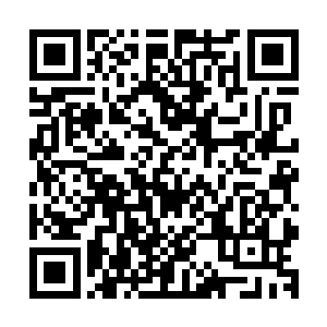 亮光闪闪的足以亮瞎所有人的24k氪金狗眼的机械圣衣就此武装二维码生成