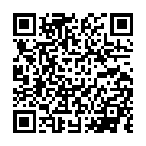 人们自然将她想象成一个孤傲冷清各种高大上的绝世美人二维码生成