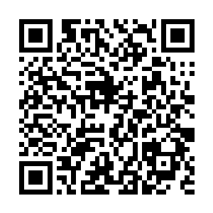 人只有到了绝境才会想起这个世界并不由他来掌握……二维码生成