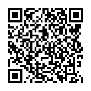 人品素质以及对白河谷地的忠诚度都是有保证的二维码生成