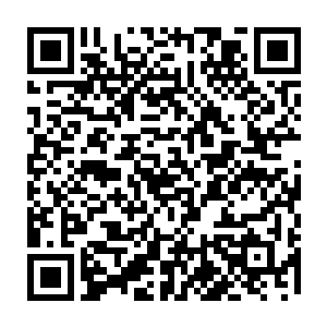 人手一份整理好的资料――那是新近成立的明湖文化传播公司的宣传资料二维码生成
