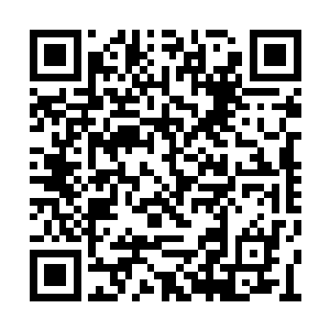 人族没有墨族可以借助墨巢迅速传递信息的手段二维码生成