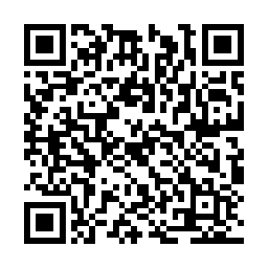 人族能从几乎没有立锥之地发展到如今这样的程度二维码生成