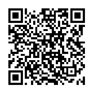 人格魅力也很强要不然以米晴雪那些仙女一般的女人二维码生成