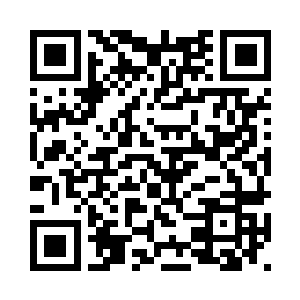 人猫韩貂寺因扶龙而成的红丝赤蛇二维码生成