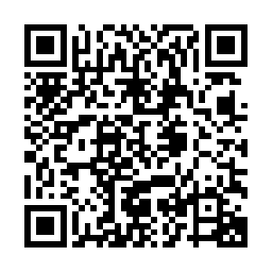人类那是经过了几百万年的进化才变成了现在这个完美状态的二维码生成