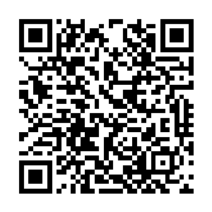 什么事情能够让你这个小懒猪这么晚了还不睡觉呢二维码生成