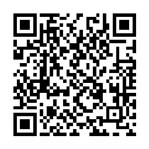 什么工作基本上都交给了包括自己在内的几个副手二维码生成