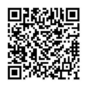 什么时候累了就随便倒在地上睡一下就继续工作二维码生成