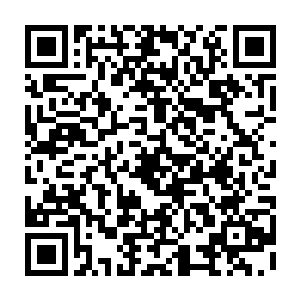仅仅只是为了帮助李思辰排练一场在校内元旦晚会上面表演的歌舞剧……二维码生成