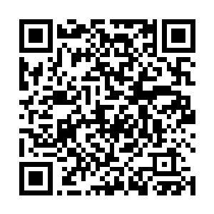 仅仅长得像十字星一样的审判之果一下子就多出来八颗二维码生成