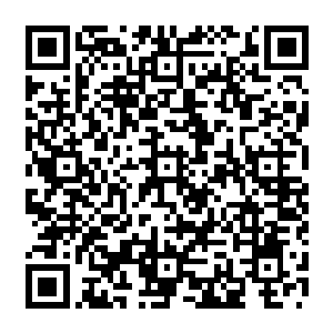 今天受了一番刺激的风苍梧下了飞艇和张铁打了一个招呼就飞快的直接回自己的院子二维码生成